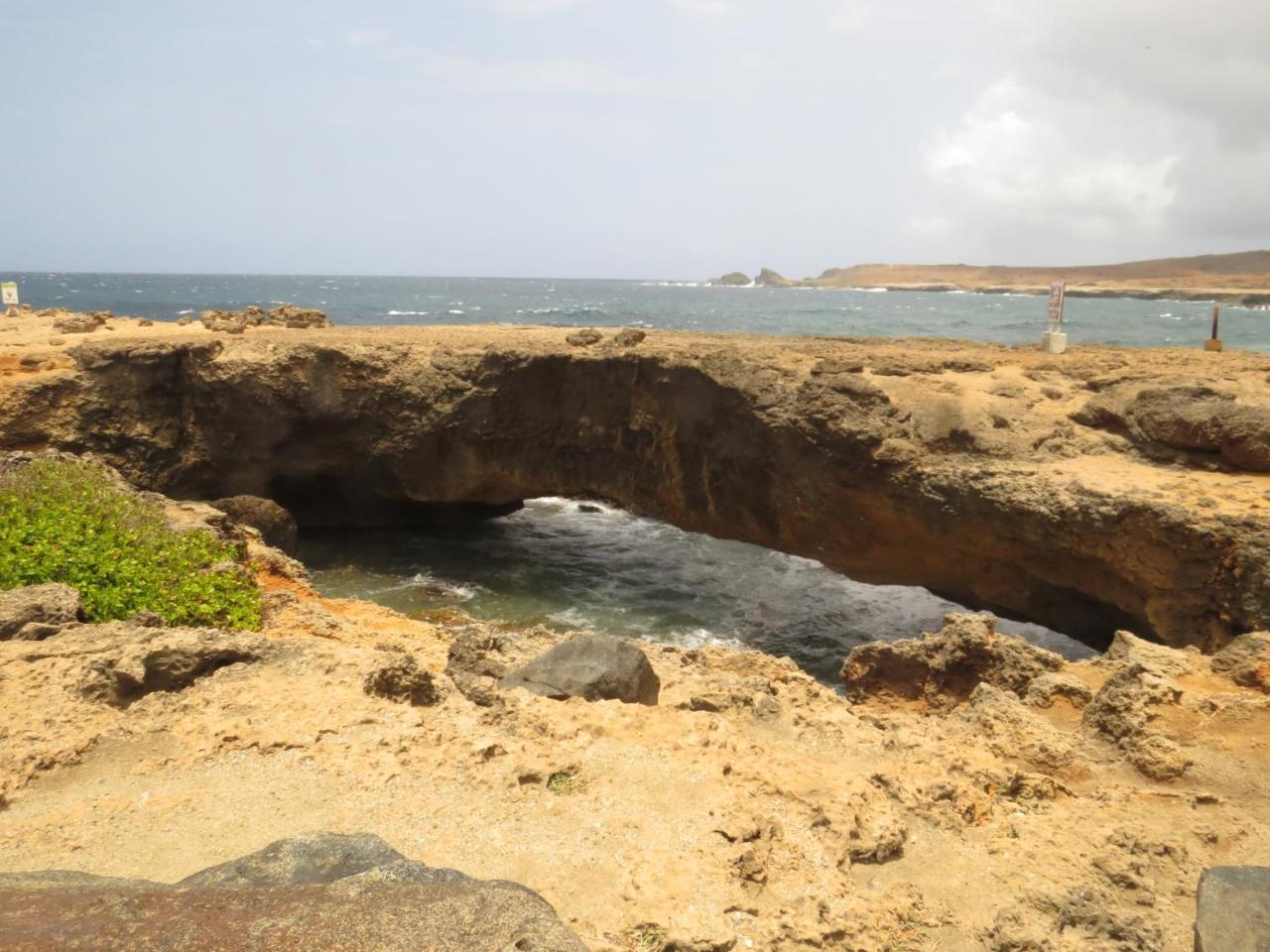 Karibu Aruba Boutique Hotel Palm Beach Kültér fotó